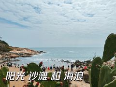 -广东惠东海龟国家级自然保护区