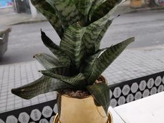 -OT另茶(上海幸福里店)