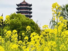 -皇罗禅寺