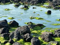 -咸德海水浴场