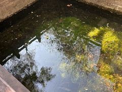 -四门塔风景区