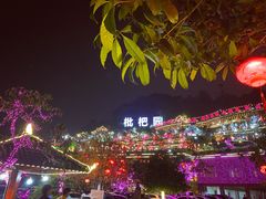 -枇杷园食为鲜火锅(南山店)