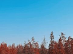 -白鹭湾湿地公园