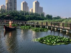 景点-前关湿地公园