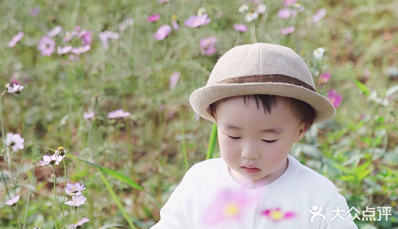 成都周边 | 童话里的秋天，大致如此