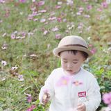 成都周边 | 童话里的秋天，大致如此