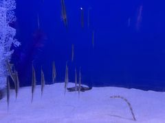 -海合安武汉极地海洋公园