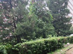 -劲松口腔医院(蓝色港湾院)