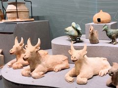 -广西壮族自治区博物馆