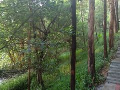 -飞天山旅游区