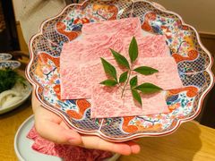 -然锅料理