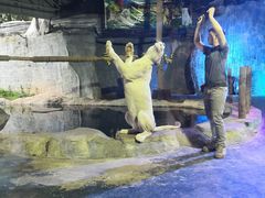 -清迈夜间动物园