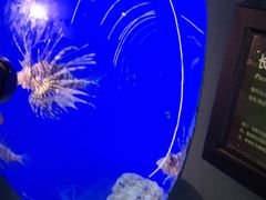 -江和美海洋公园