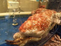 -海景壹号大酒店(滨湖店)