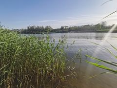 -大兴滨河森林公园