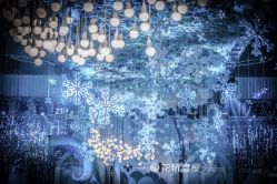 -花轿喜屋婚礼策划