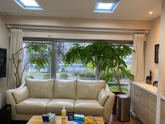 -精德口腔·种植修复·儿牙中心(财富中心店)