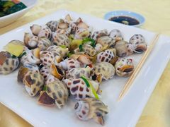 -阳江餐厅·30年老字号·粤菜海鲜大排档
