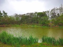 -白鹭湾湿地公园