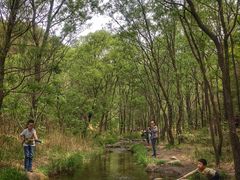 -碓臼峪自然风景区