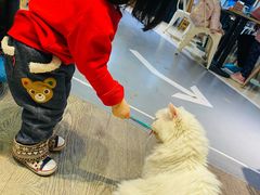 -小时光咖啡馆(开森度假森林店)