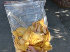 -西双版纳傣族园