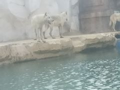 -秦皇岛乐岛海洋王国