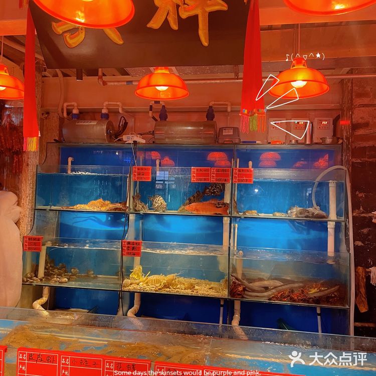 北京人气餐厅🍴一楼一火锅沉浸式美食分享