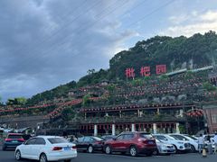 -枇杷园食为鲜火锅(南山店)