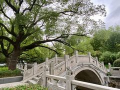 -安亭老街