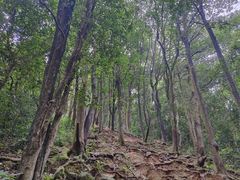 -火炉山森林公园