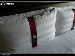 -上海松江假日酒店