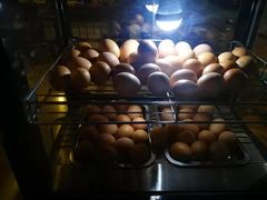 -清水洞汤泉(嘉陵江西路店)