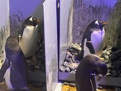 -成都浩海立方海洋公园