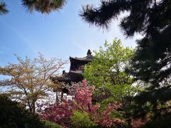 -西安青龙寺遗址景区