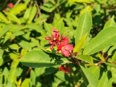 -姐夫家·沈阳黏糊麻辣拌·拌鸡架·冷面(南头古城店)