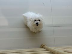 -龙湖重庆时代天街