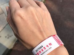 -黄龙溪欢乐田园