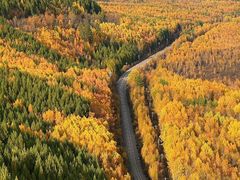 -北极村旅游风景区