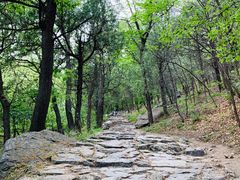 -阳台山自然风景区