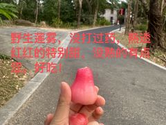 -七仙岭君澜度假酒店