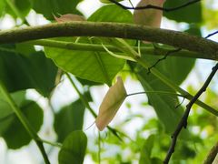 -北京植物园-展览温室