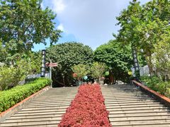 -广州神农草堂中医药博物馆