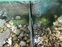 -四海鲜渔家菜(黄金海岸店)
