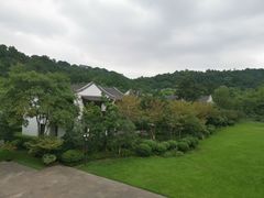 -杭州雅谷泉山庄酒店-餐厅