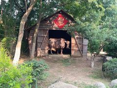 -茅山东方盐湖城景区