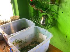 -阿婆米粉店
