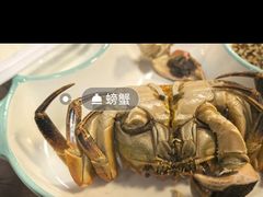 -黄记大闸蟹专卖店·活蟹·醉蟹