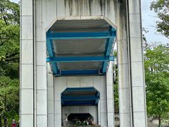 -东莞植物园