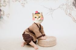 -小熊维尼高端儿童摄影(南山信和店)